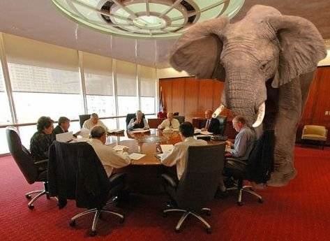 image: elephant in the room