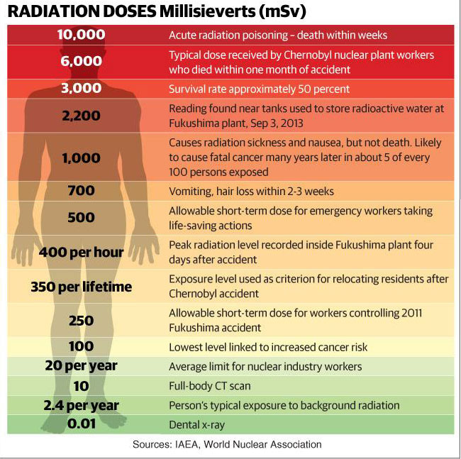 Geiger Counter Readings Chart
