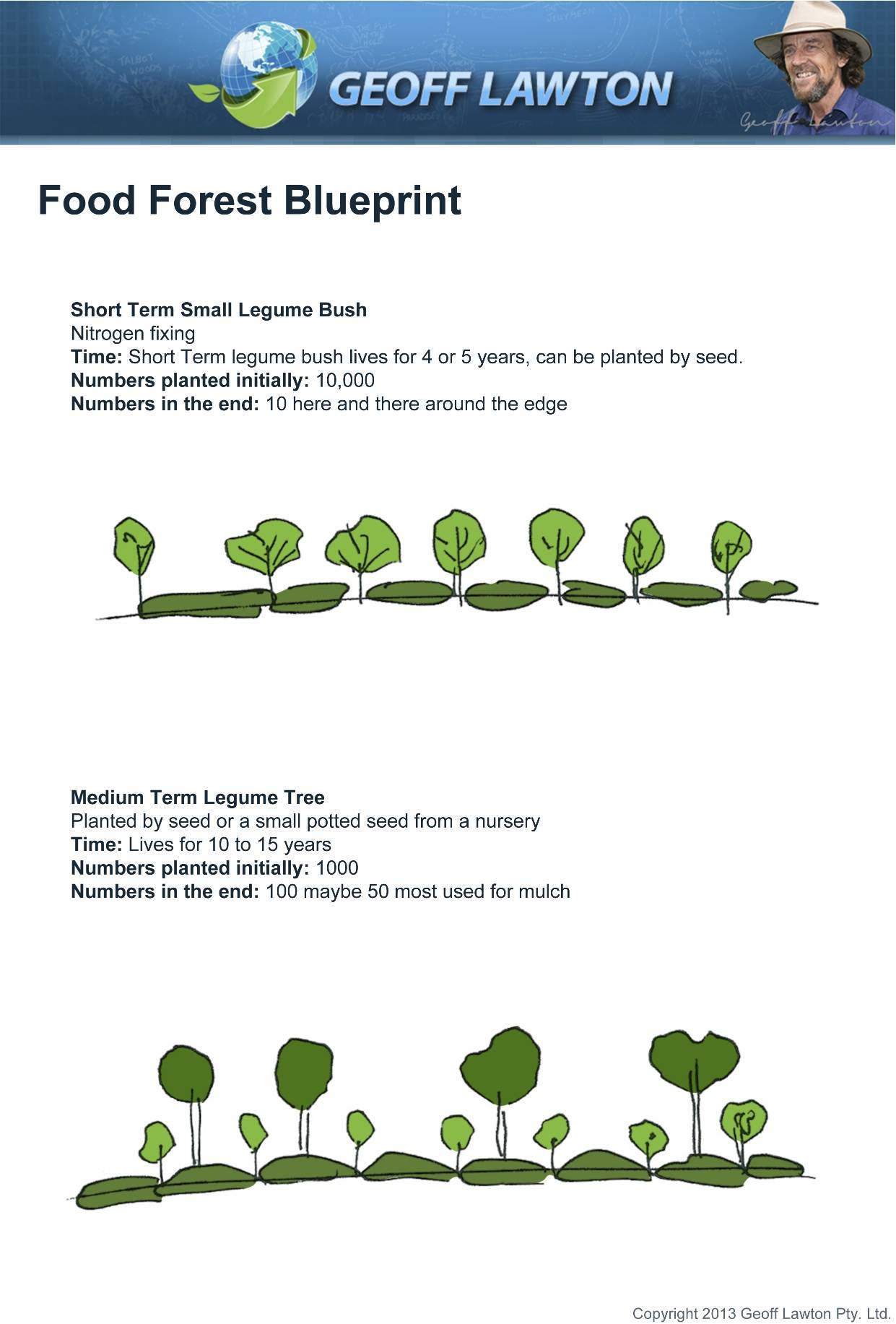 food-forest-blueprint