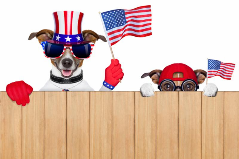 USA_dogs_behind_fence.jpg